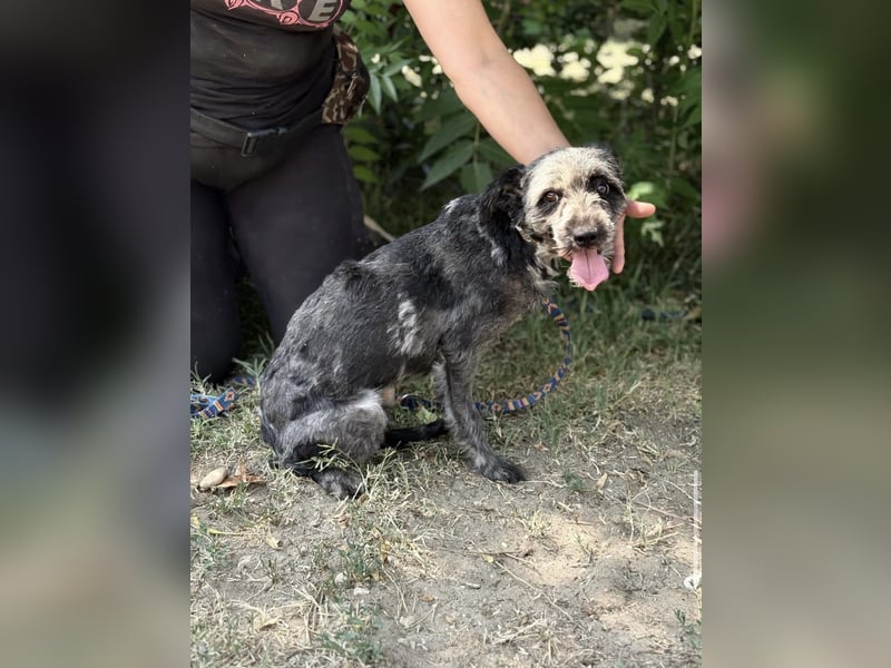 Leoni KK – tapfere Kämpferin sucht ihr Happy End