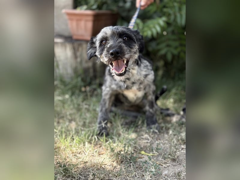 Leoni KK – tapfere Kämpferin sucht ihr Happy End
