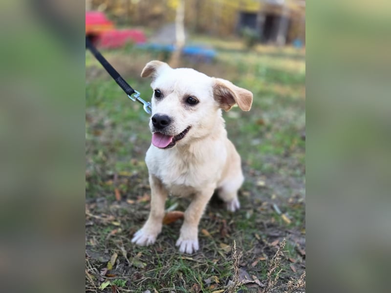 Bob BE – hätte gerne eine liebe Familie