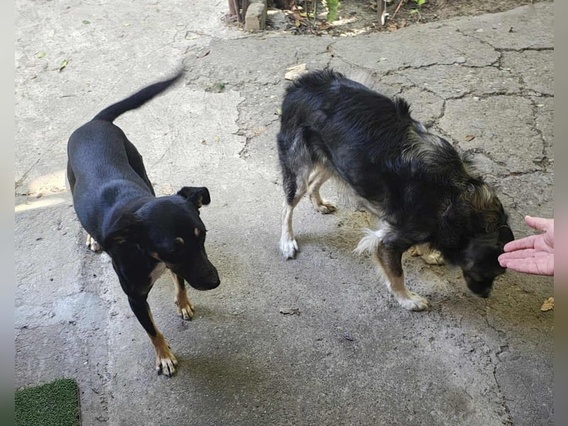 Bella – unwiderstehlich und super süß