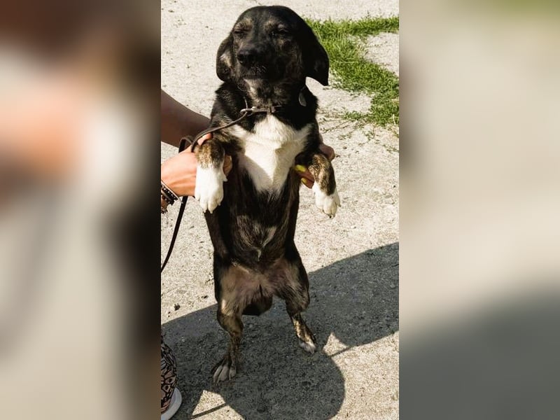 Hübsch - Hübscher - wunderhübsche TESSA