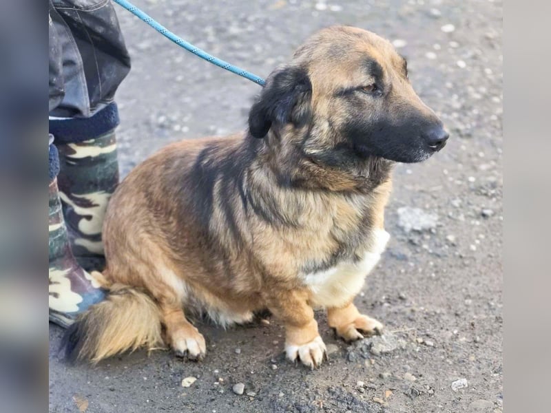 *Fred*kleiner Charmeur sucht das große Glück