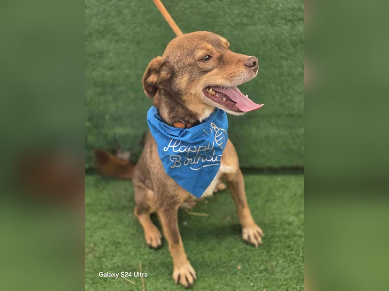 Lucky Boy – macht seinem Namen alle Ehre