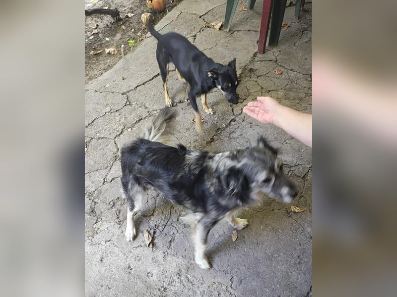 Bella – unwiderstehlich und super süß