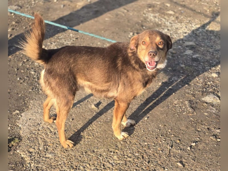 Lucky Boy – macht seinem Namen alle Ehre