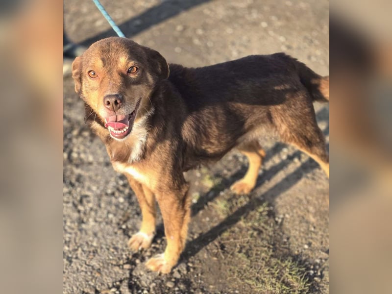 Lucky Boy – macht seinem Namen alle Ehre