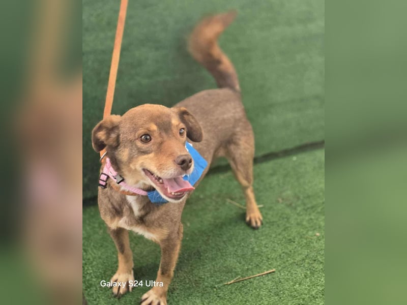 Lucky Boy – macht seinem Namen alle Ehre