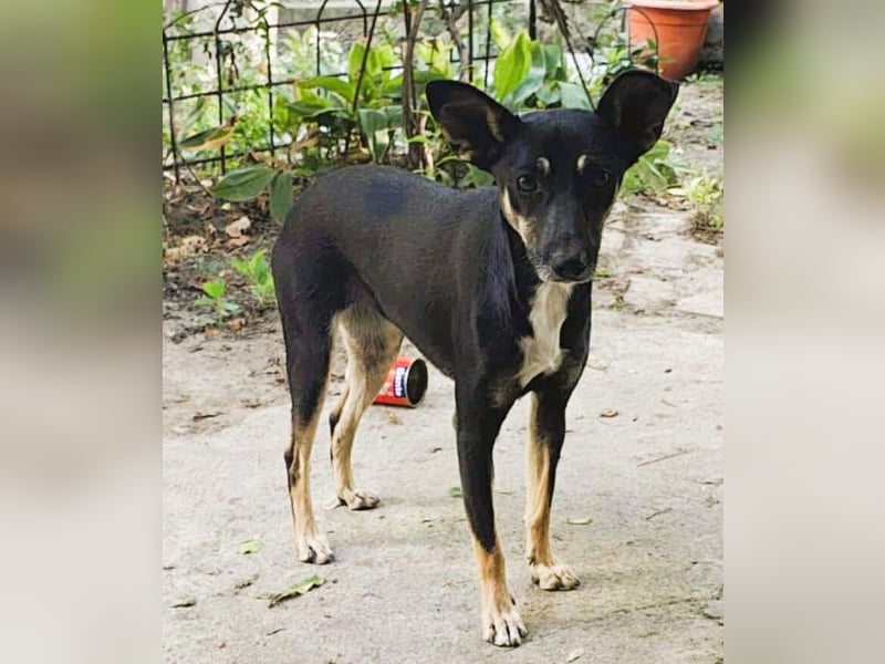 Bella – unwiderstehlich und super süß