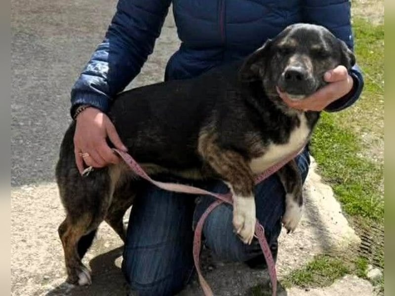 Hübsch - Hübscher - wunderhübsche TESSA