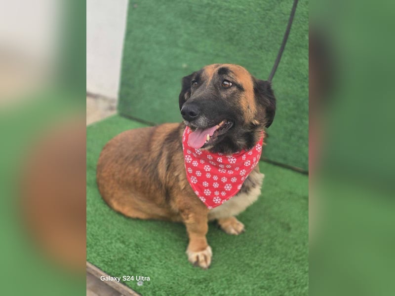 *Fred*kleiner Charmeur sucht das große Glück