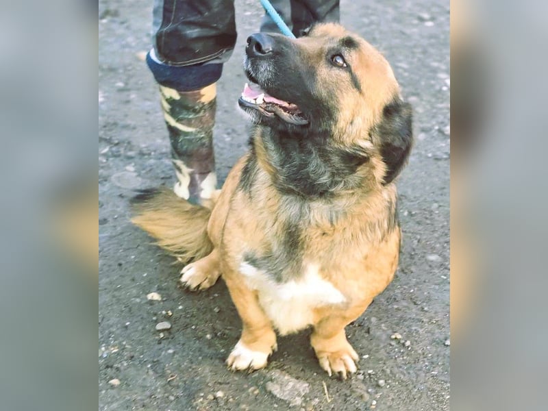 *Fred*kleiner Charmeur sucht das große Glück
