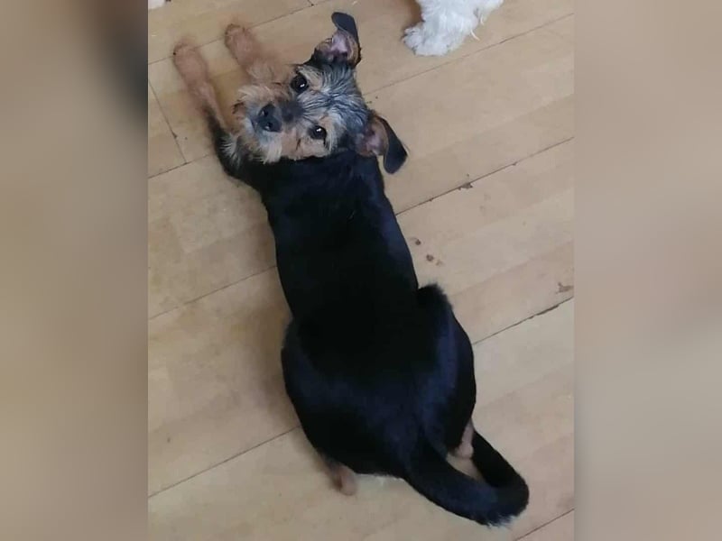 Ein süßer Fratz – das ist EDY