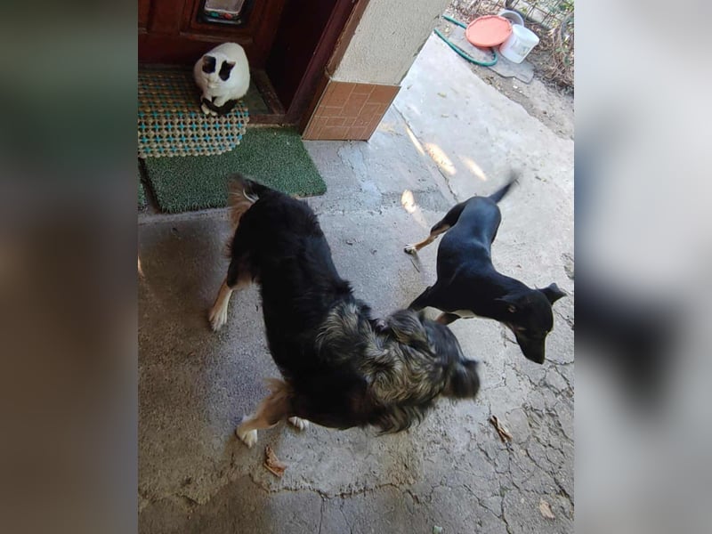 Bella – unwiderstehlich und super süß