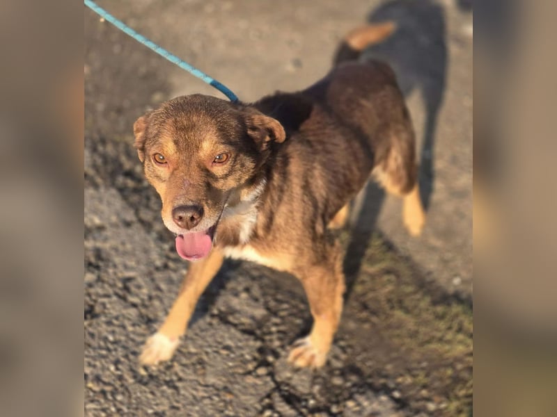 Lucky Boy – macht seinem Namen alle Ehre