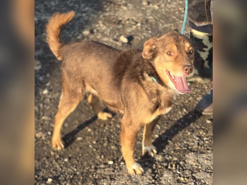 Lucky Boy – macht seinem Namen alle Ehre