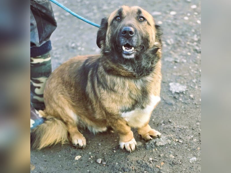 *Fred*kleiner Charmeur sucht das große Glück