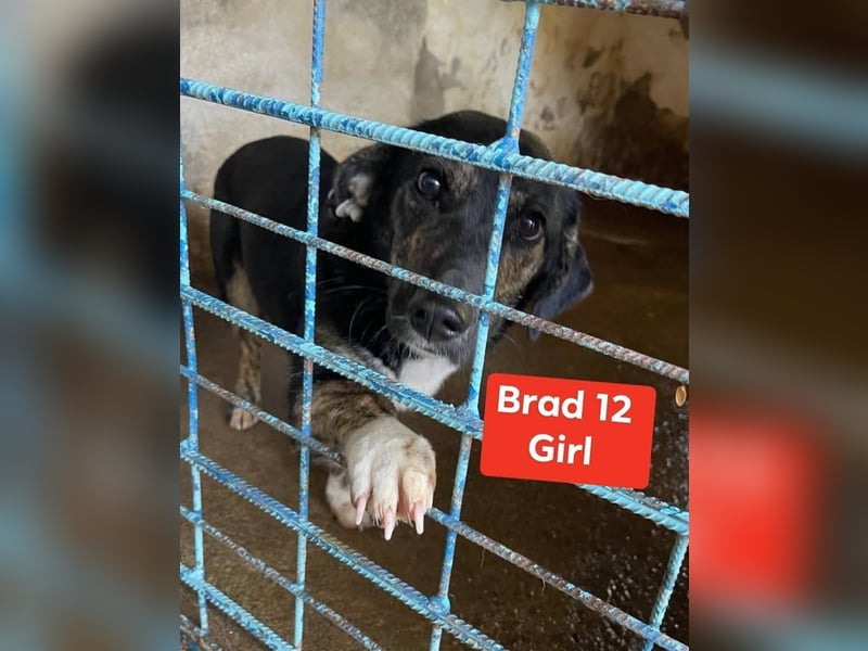 Hübsch - Hübscher - wunderhübsche TESSA