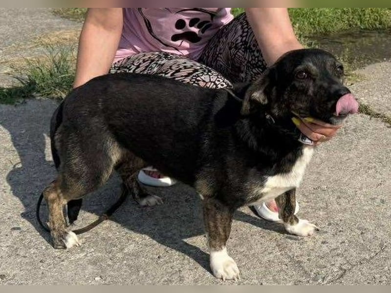 Hübsch - Hübscher - wunderhübsche TESSA