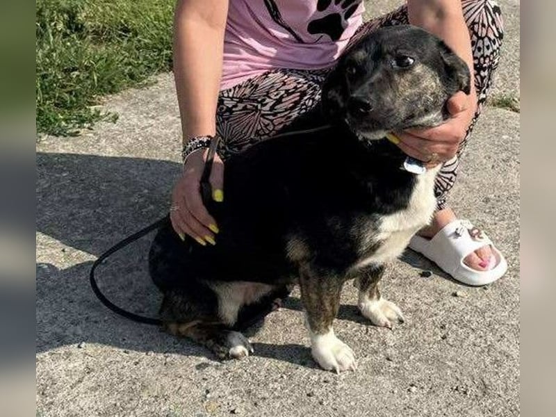 Hübsch - Hübscher - wunderhübsche TESSA