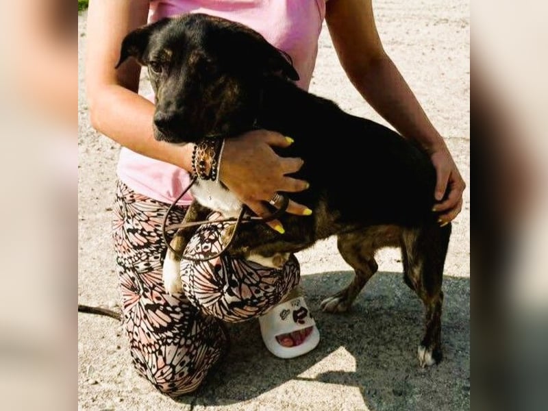 Hübsch - Hübscher - wunderhübsche TESSA