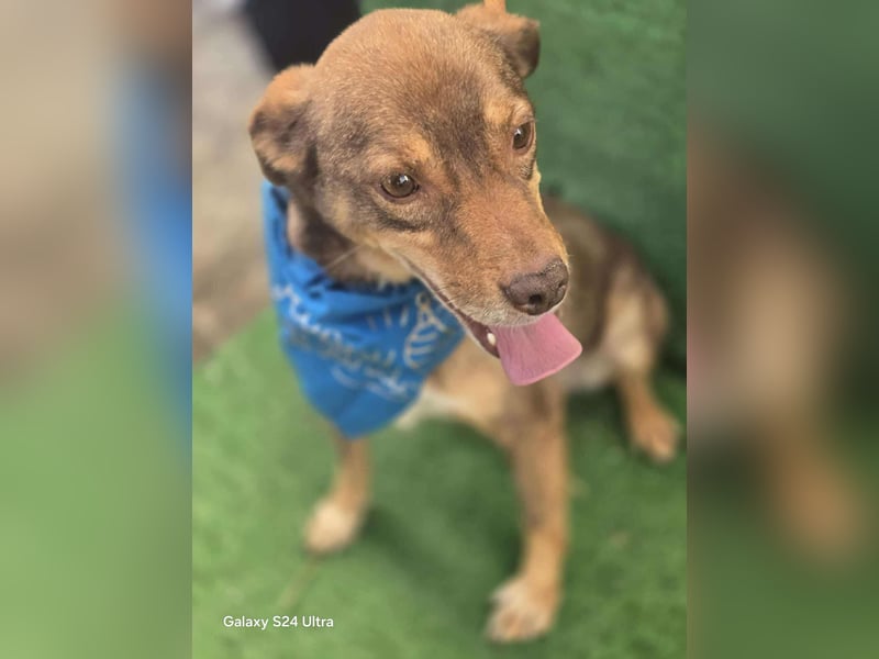 Lucky Boy – macht seinem Namen alle Ehre