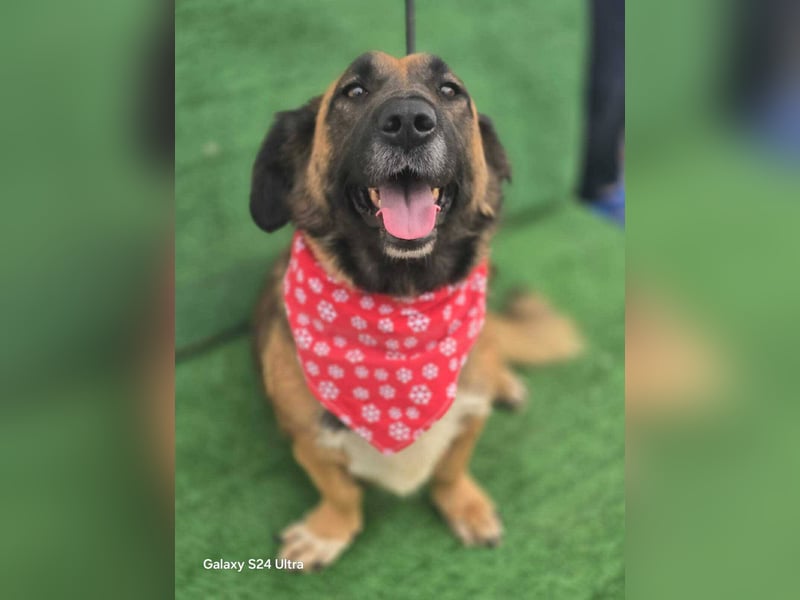 *Fred*kleiner Charmeur sucht das große Glück