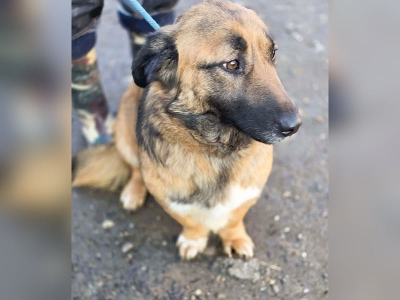 *Fred*kleiner Charmeur sucht das große Glück