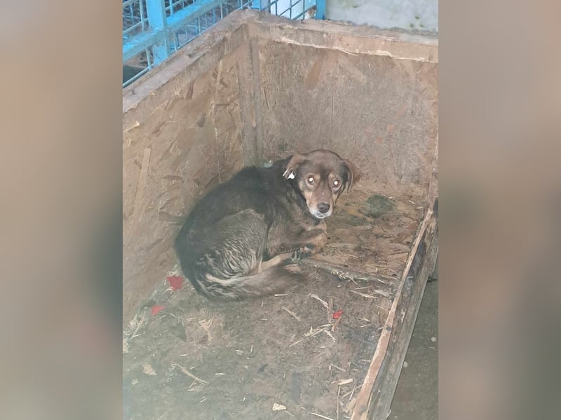 Lucky Boy – macht seinem Namen alle Ehre