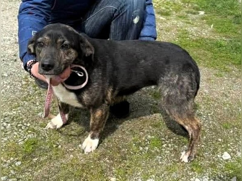 Hübsch - Hübscher - wunderhübsche TESSA