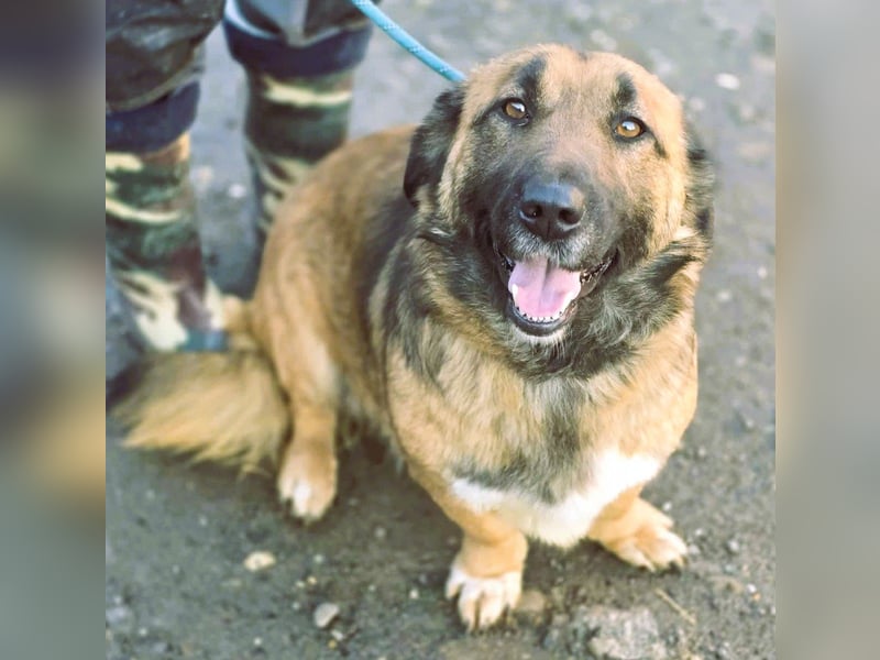 *Fred*kleiner Charmeur sucht das große Glück