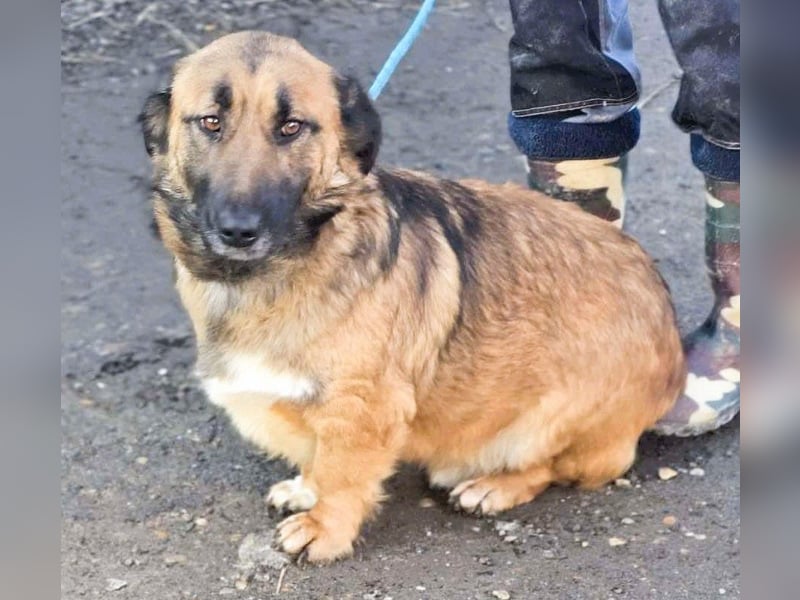 *Fred*kleiner Charmeur sucht das große Glück