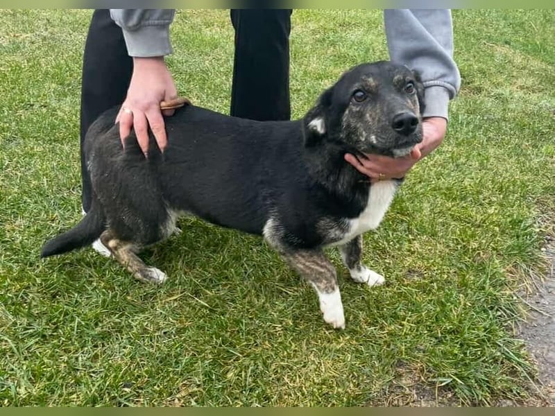 Hübsch - Hübscher - wunderhübsche TESSA
