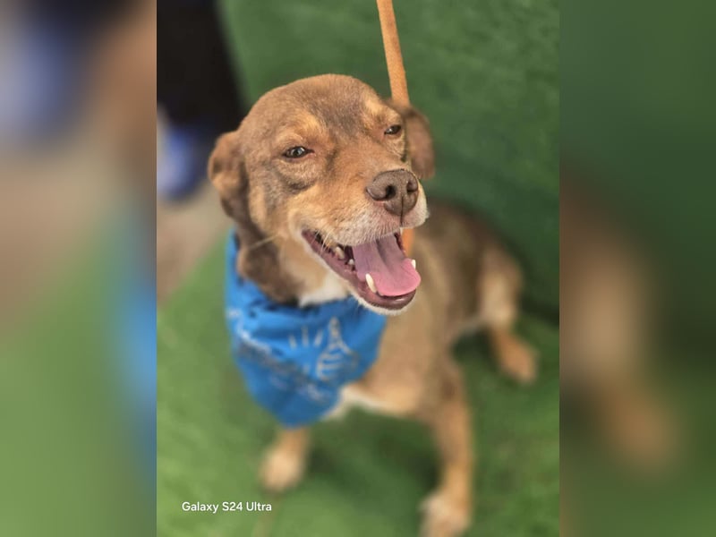 Lucky Boy – macht seinem Namen alle Ehre