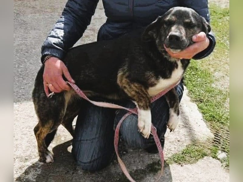 Hübsch - Hübscher - wunderhübsche TESSA