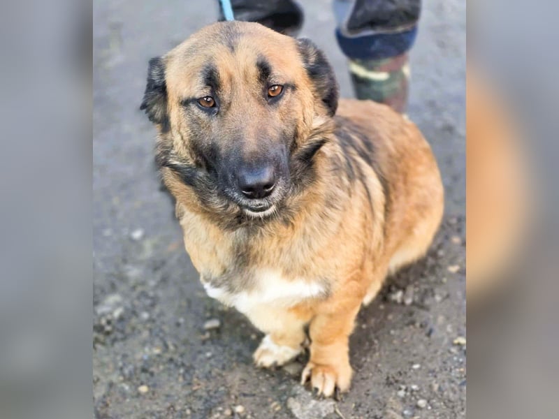 *Fred*kleiner Charmeur sucht das große Glück