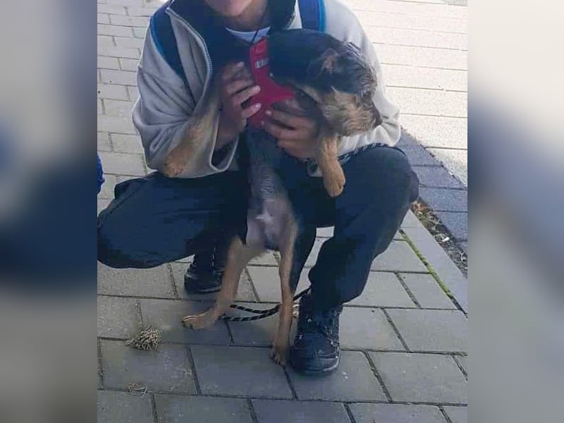 Ein süßer Fratz – das ist EDY