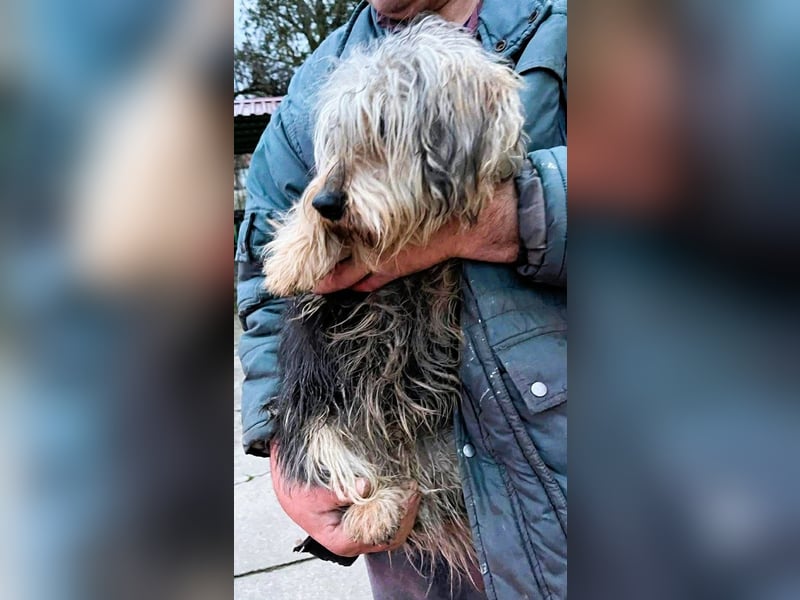 Friedwart – kleiner Herzensbrecher sucht ein Plätzchen