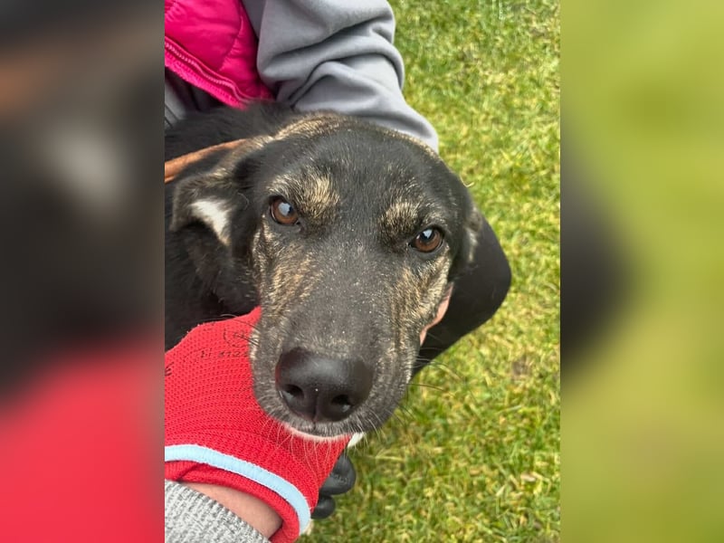 Hübsch - Hübscher - wunderhübsche TESSA