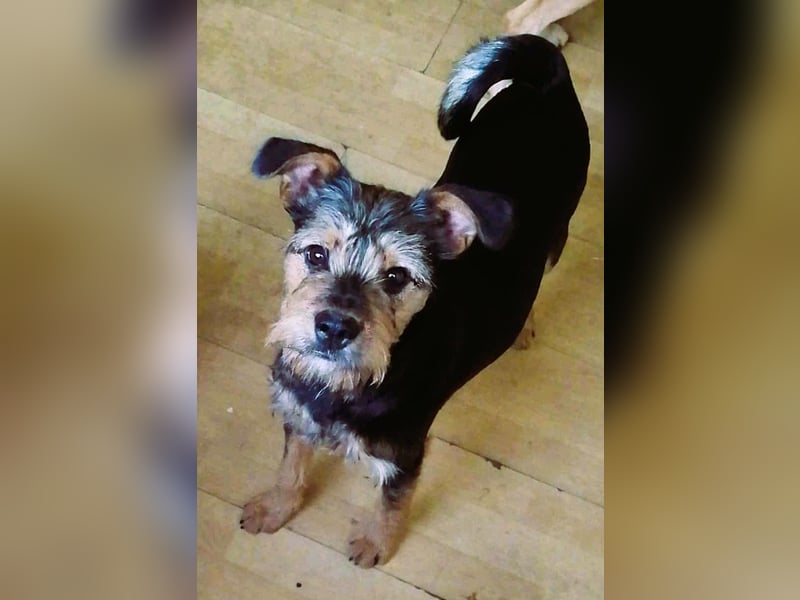 Ein süßer Fratz – das ist EDY