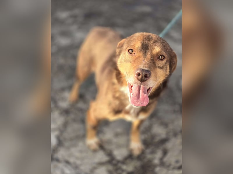 Lucky Boy – macht seinem Namen alle Ehre