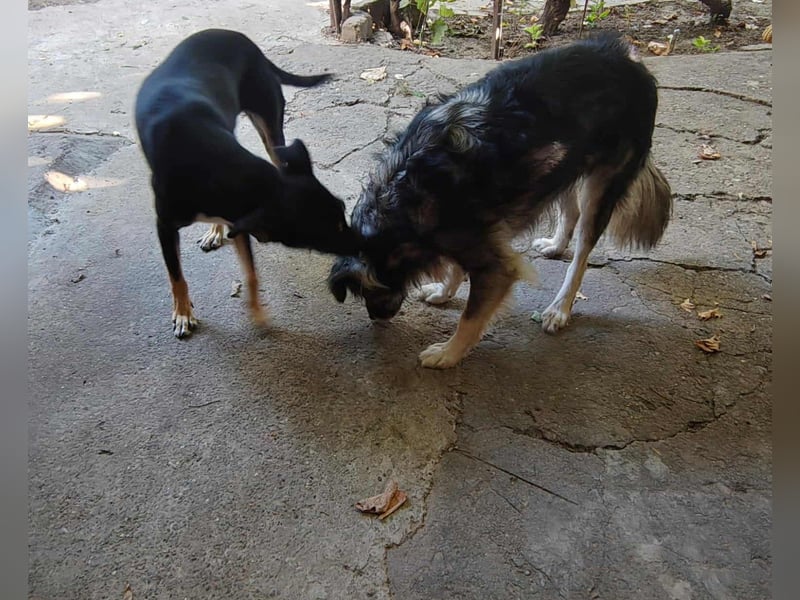 Bella – unwiderstehlich und super süß