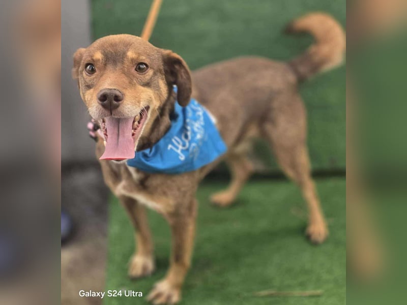 Lucky Boy – macht seinem Namen alle Ehre