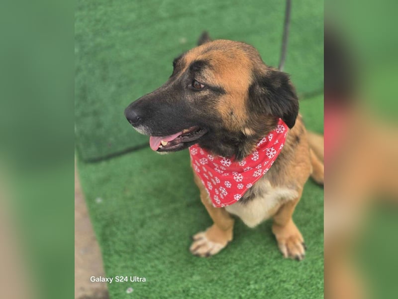 *Fred*kleiner Charmeur sucht das große Glück