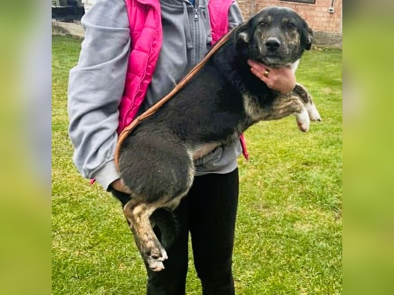 Hübsch - Hübscher - wunderhübsche TESSA