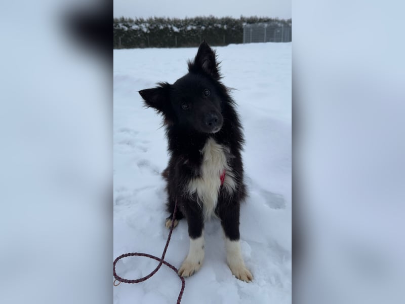 Rosa ist ein liebes, noch etwas schüchternes Energiebündel