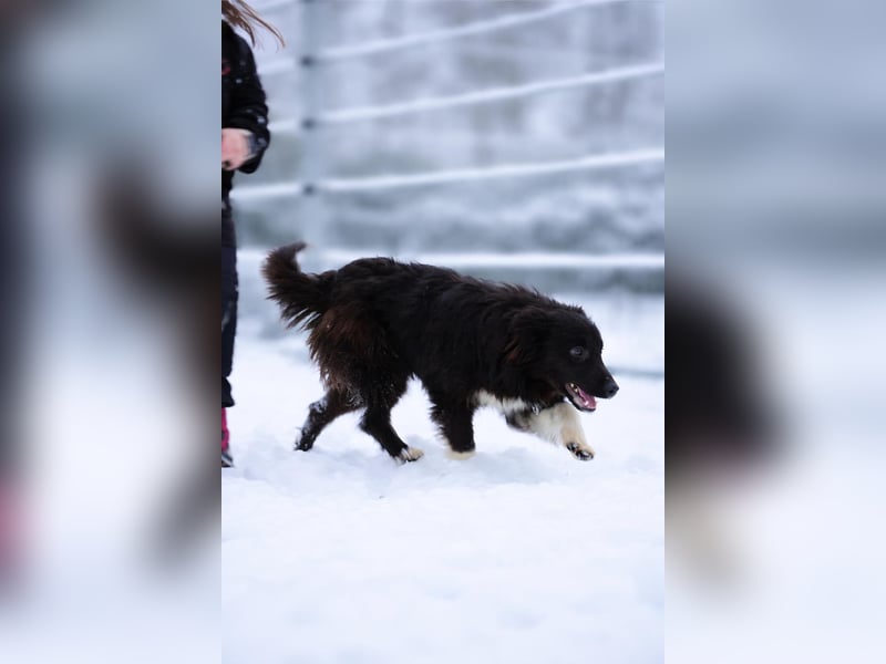Rosa ist ein liebes, noch etwas schüchternes Energiebündel