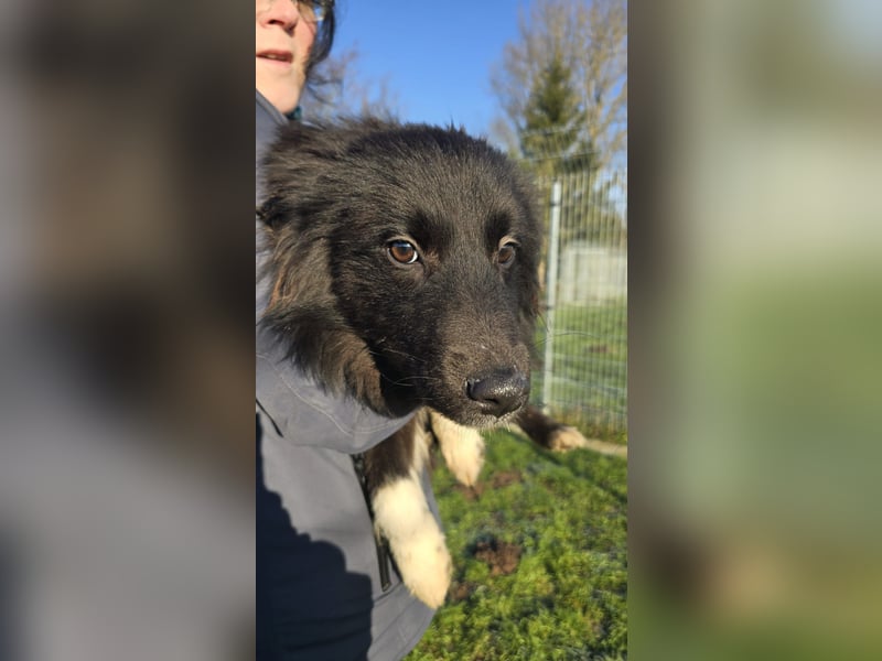 Rosa ist ein liebes, noch etwas schüchternes Energiebündel