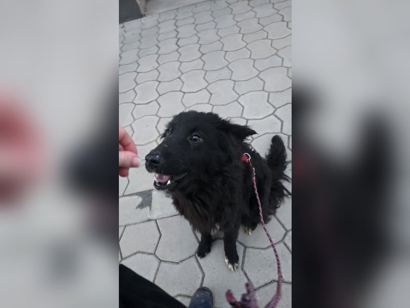 Pina wünscht sich aktive, geduldige Menschen