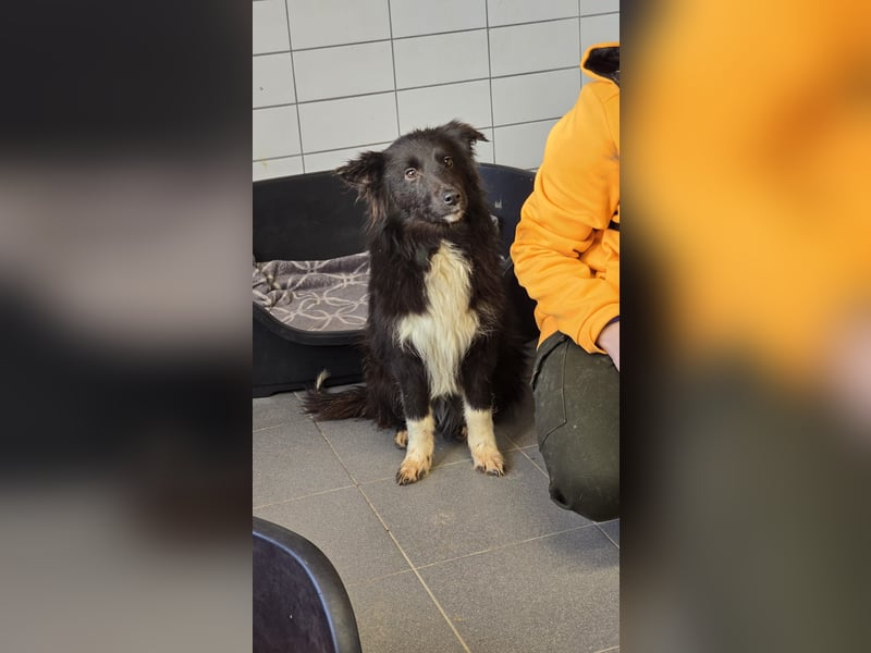 Rosa ist ein liebes, noch etwas schüchternes Energiebündel