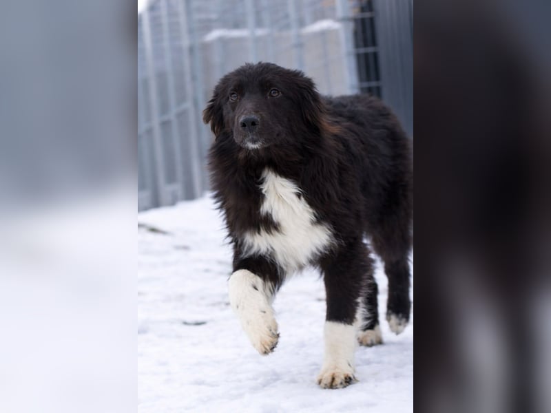 Rosa ist ein liebes, noch etwas schüchternes Energiebündel